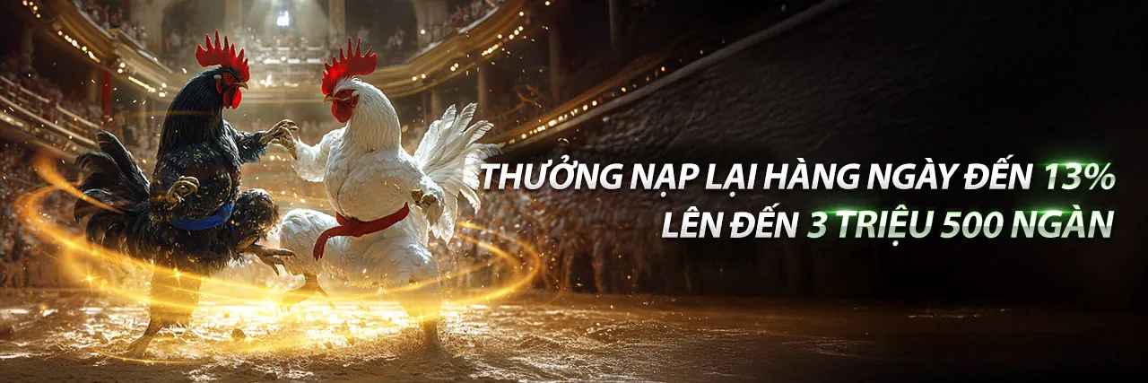 Đá Gà Trực Tuyến Hấp Dẫn tại W9BET