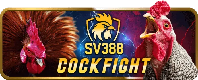 Hình ảnh minh họa quy trình đăng ký, nạp tiền, đặt cược và rút tiền tại W9BET